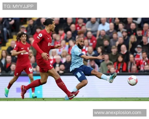 布伦特福德主场战绩分析及其对球队整体表现的影响